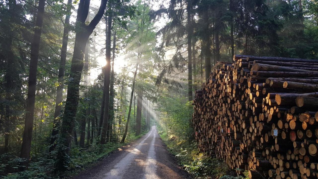 Fewo 3 - Seehaus Hoyer Gunzenhausen Exteriör bild